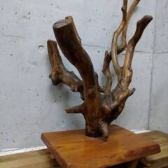 木のオブジェ　インテリア　流木　オブジェ　の画像