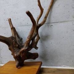 木のオブジェ　インテリア　流木　オブジェ　の画像