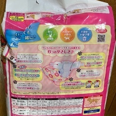 犬のオムツ　マナーウェア　女の子用の画像