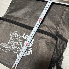 保冷バック　リュック型の画像