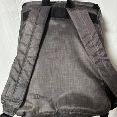 保冷バック　リュック型の画像