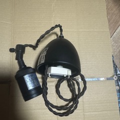 らいとライトの画像