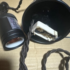 らいとライトの画像