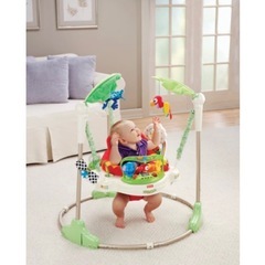 フィッシャープライス　レインフォレスト　ジャンパルーの画像