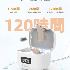 楽ちんヒアリング 充電式集音器 約30倍に音を増幅 音量調整 敬老の日プレゼントの画像