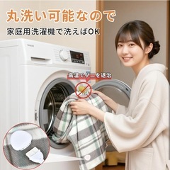 電気毛布 掛け敷き　チェック柄　(150×80cm)の画像