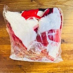 ⭕サンタコスプレ　バニー⭕の画像