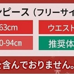 ⭕サンタコスプレ　バニー⭕の画像