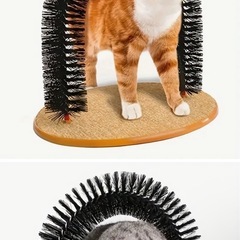 猫ちゃんのグルーミングに🐱の画像