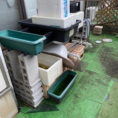 メダカ容器足場材込みの画像