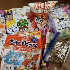 猫フード色々の画像