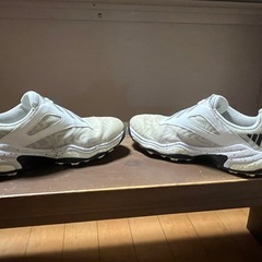 レディース　ジュニア　ゴルフシューズ　アディダスコードカオス25/ 23cmの画像