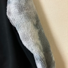 トレーナーの画像