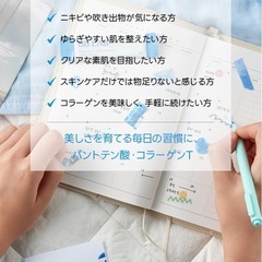 新品・未開封 
パントテン酸コラーゲンTの画像