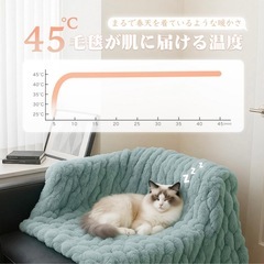 電気毛布 ひざ掛け 電気ブランケット 超滑らか触感 厚手保温 5段温度調節 切タイマー 省エネ 丸洗い可能（洗濯機/手洗い対応） 掛け・敷布団両用 ポリエステル ふわふわ 170*130cm PSE認証済 ダニ退治 DRMTYGG001 (ダークグリーン)の画像