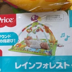 レインフォレストの画像