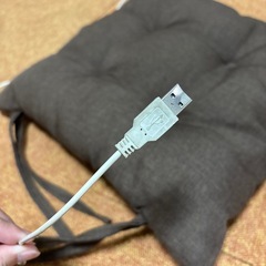 ヒーター付きクッション
の画像