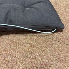 ヒーター付きクッション
の画像