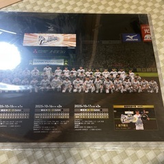 阪神タイガース　応援メッセージポスター　日本シリーズの画像