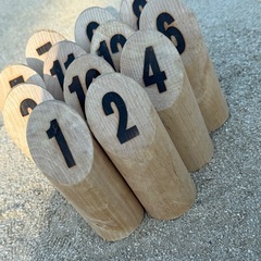 レクレーション部　モルック　メンバー大募集！