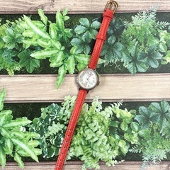 中古品各100円の画像