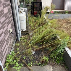 🧹【庭清掃】町田市金井 戸建て周りの雑草取り・処分込みの画像