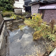 🧹【庭清掃】町田市金井 戸建て周りの雑草取り・処分込みの画像