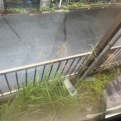 🧹【庭清掃】町田市金井 戸建て周りの雑草取り・処分込みの画像