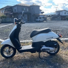 Honda today af67の画像