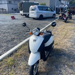 Honda today af67の画像