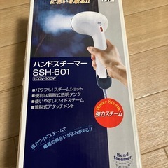 ハンディスチーマーの画像