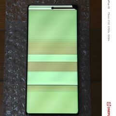 【重度訳アリ】Pixel 6 Pro 完全画面死亡 部品取り用の画像