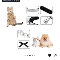 予約品！猫ちゃん用首輪パールとキラキラストーンの画像