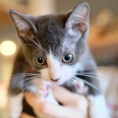 【リューセック】遊ぶの大好き・男の子・ゴミ屋敷レスキュー