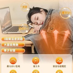 【新品】電気毛布 1枚多役 ひざ掛け 肩掛け 座布団 抱き枕 三段階温度調整の画像