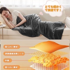 【新品】電気毛布 1枚多役 ひざ掛け 肩掛け 座布団 抱き枕 三段階温度調整の画像