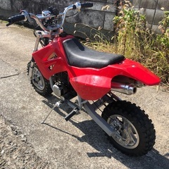 ポケバイ　実働ベース車の画像