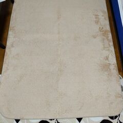 カーペット2枚 ラグの画像