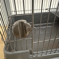 ケージの画像