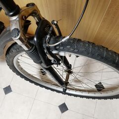 ➊アメリカンイーグル26インチの画像