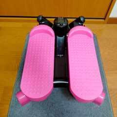 Kate Ruber　骨盤ステッパー　中古　送料が高いので取りにこれる方限定の画像