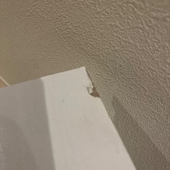 テレビ台(低め)の画像