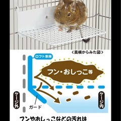 小動物用　メッシュ ロフト ミニ ５個の画像