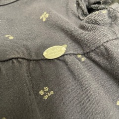 プティマイン80の画像