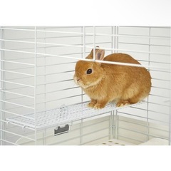 小動物用　メッシュ デッキ ワイドの画像