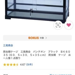 直接引き取り限定　中古　パンテオン BK6035 爬虫類 飼育ケージ ガラスケージ　三晃商会　配送不可の画像