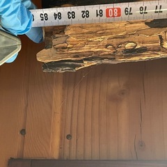 【11/15処分予定】木製　壁飾り　の画像