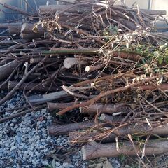 薪の材料にどうでしょうか？？の画像