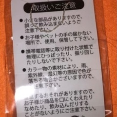 金運上昇ネックレスの画像