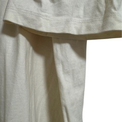 earth アイボリー Tシャツ 半袖の画像